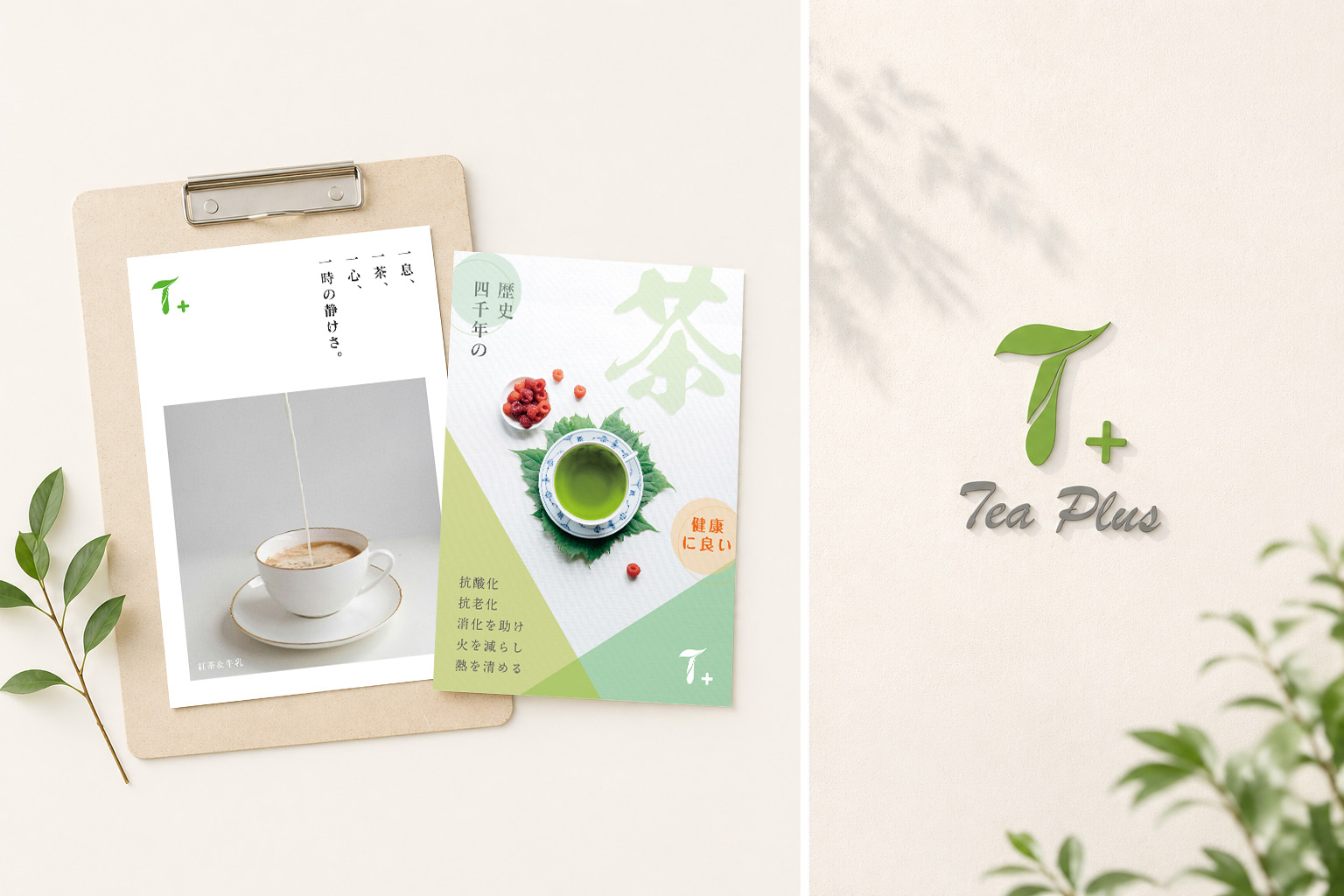 Tea Plus - フライヤー